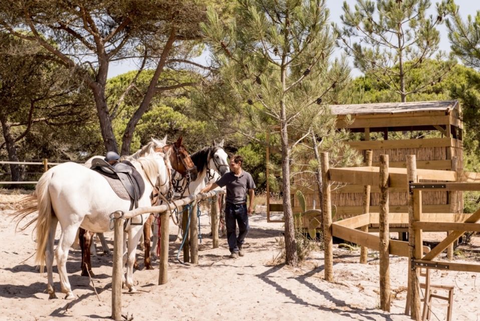 Melides: Horse Riding on the Beach With Wine Tasting - Instructor and Language Options