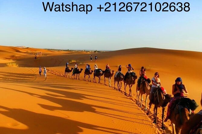 Merzouga 1-night Sahara Desert Adventure  - Hassilabied - Reviews and Ratings