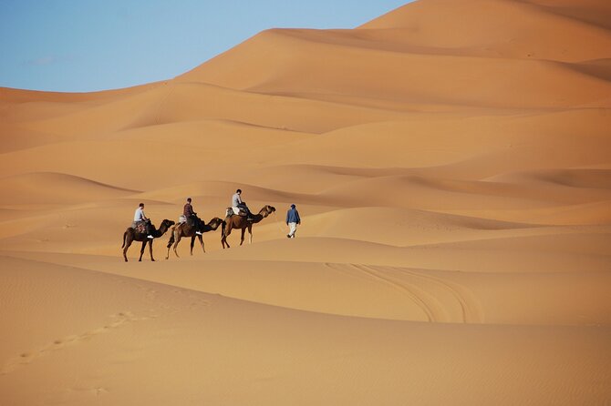 Merzouga Desert Campsite &Camel Excursions - Contact Information and Copyright