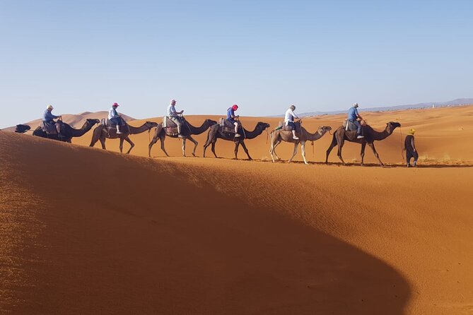 Merzouga One Hour Adventure Tour - Booking Details