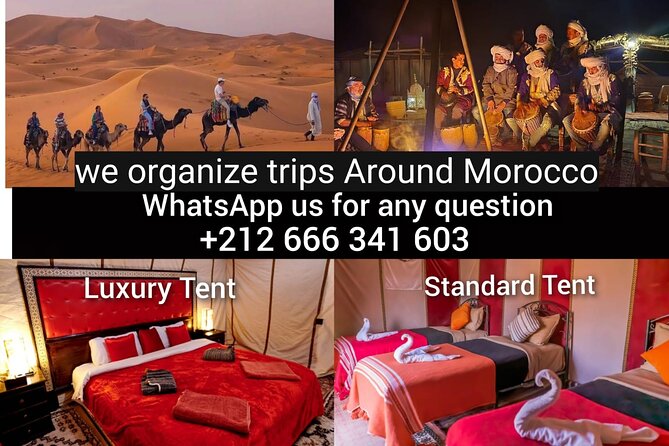 Merzouga: Overnight Camel-Trekking Tour  - Marrakech - Traveler Experience Reviews