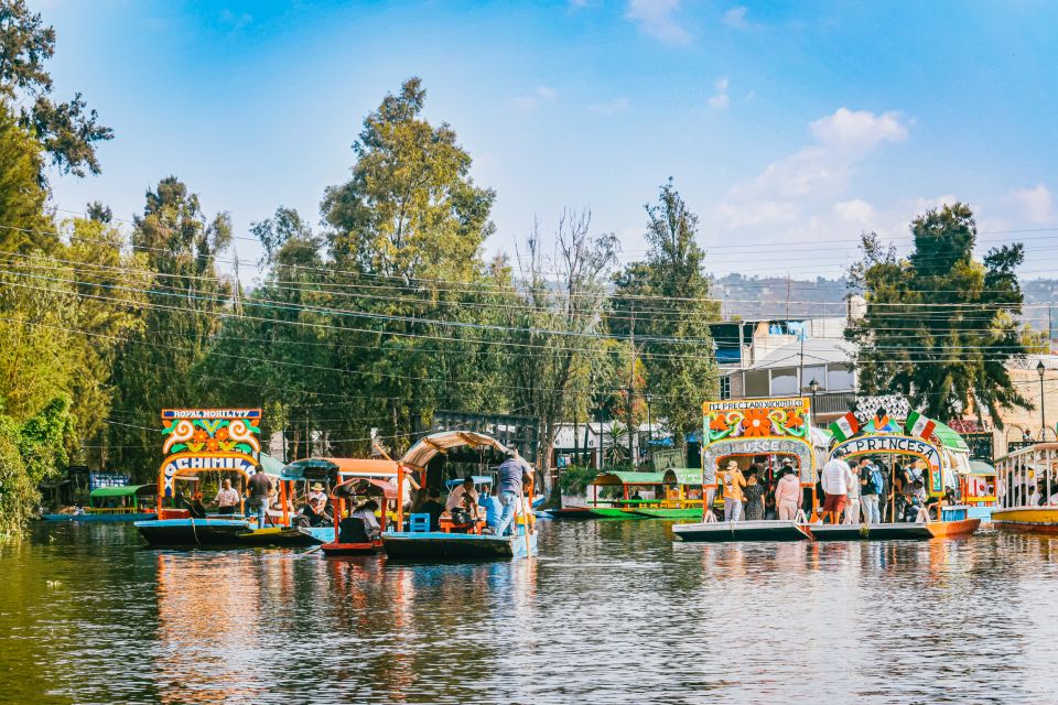 Mexico City: Xochimilco, Coyoacan, Frida Kahlo & UNAM - Summary of Customer Reviews