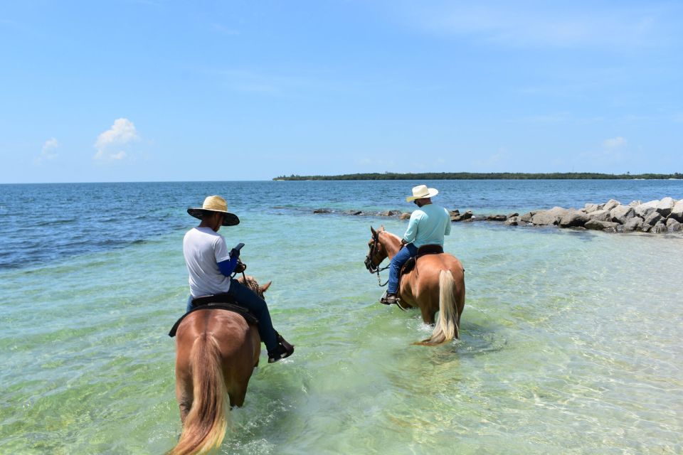 Miami: Beach Horse Ride & Nature Trail - Review Summary
