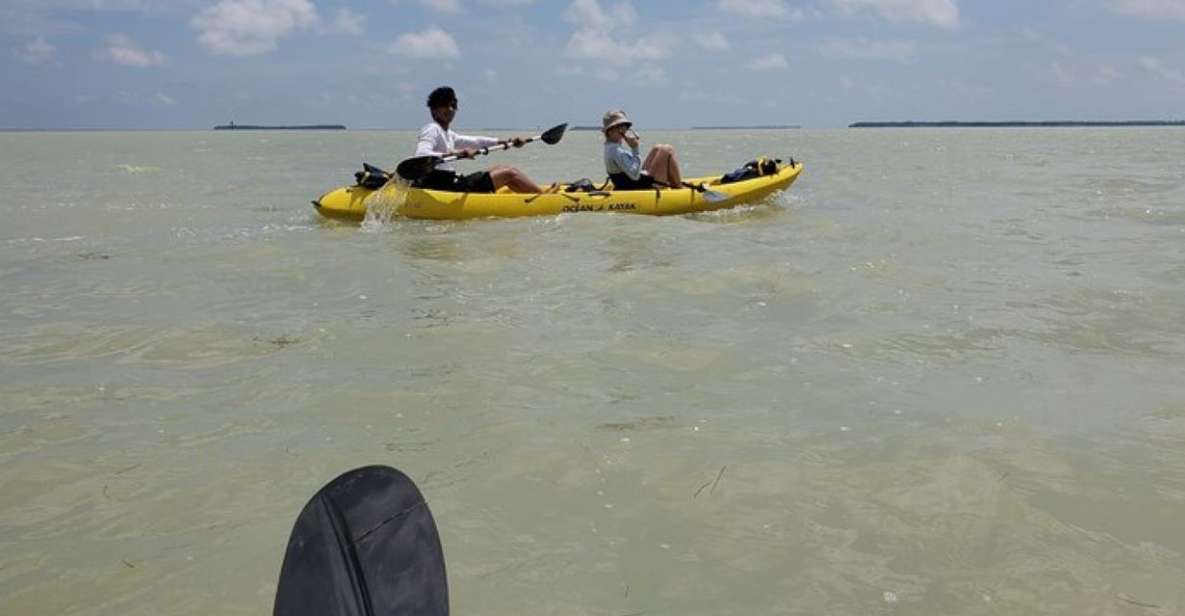 Miami: Everglades National Park Hiking and Kayaking Day Trip - Tour Highlights