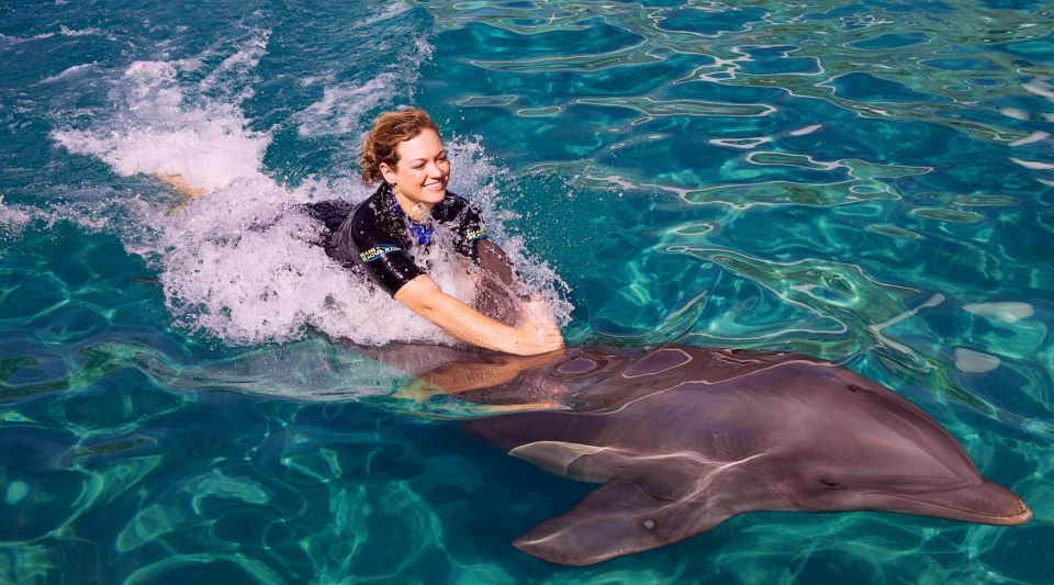 Miami: Swim With Dolphins Experience With Seaquarium Entry - Important Information for Participants