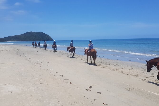 Mid-Morning Beach Horse Ride in Cape Tribulation - Start Time and Duration