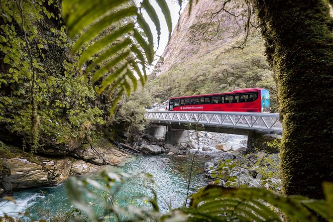 Milford Sound Coach and Cruise From Te Anau With Buffet Lunch - Benefits of the Tour