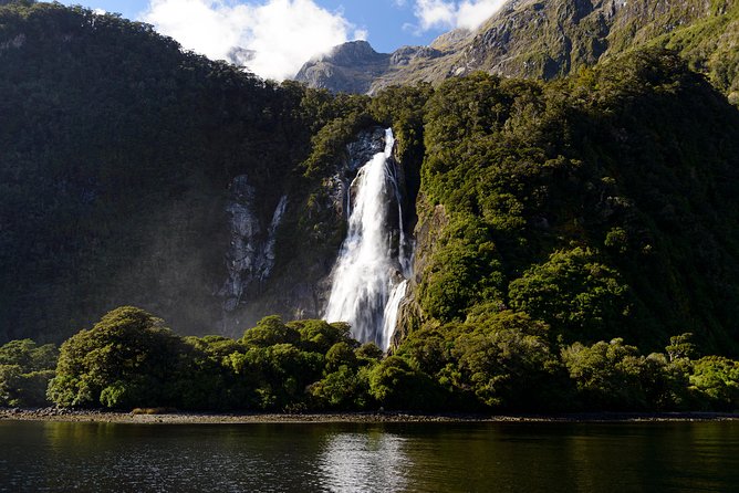 Milford Sound Day Tour and Cruise From Queenstown - Wildlife Encounters and Sightings