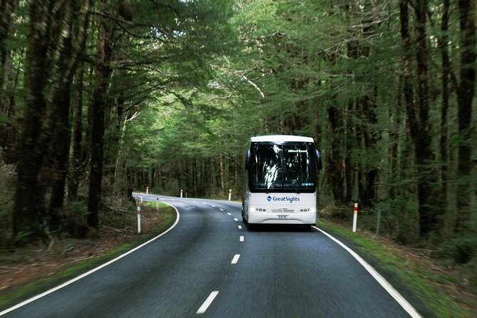 Milford Sound Full-Day Tour From Te Anau - Customer Feedback