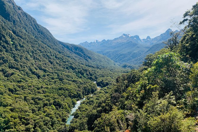 Milford Sound Heli Flight Including Scenic Landings, Boat Cruise - Customer Feedback