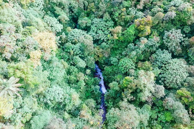 Mindo Cloud Forest Full Day Tour From Quito - Adventure Activities