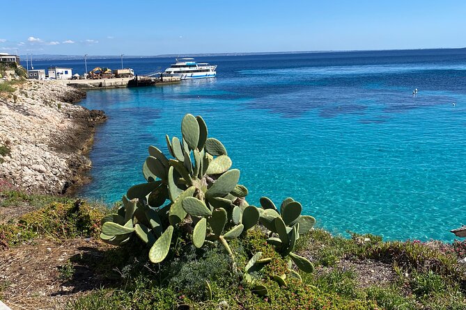 Mini Cruise to Favignana and Levanzo With Lunch on Board - Itinerary and Activities