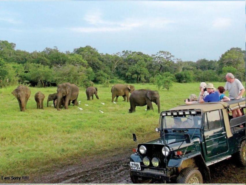 Mirissa/Weligama: Udawalawe Safari & Elephant Transits Home - Participant Information