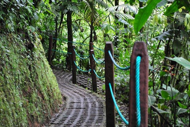 Mistico Hanging Bridges Park From La Fortuna - Recommendations