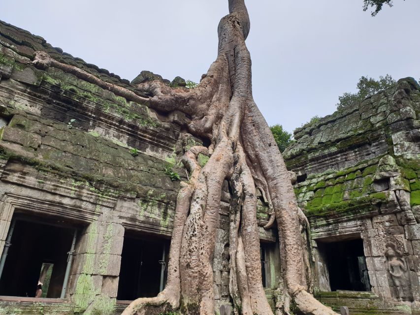 Mixture of Temples and Waterfall. - Landmine Museum and Banteay Srie