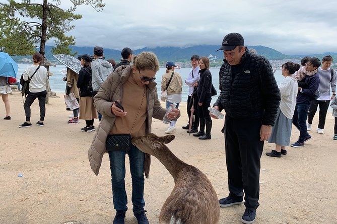 Miyajima Half-Day Private Tour With Government Licensed Guide - Guest Experiences and Reviews