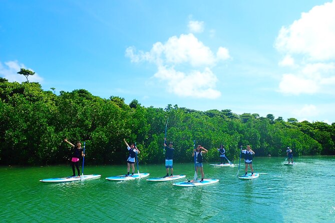 Miyara River 90-Minute Small-Group SUP or Canoe Tour (Mar ) - Expectations and Requirements