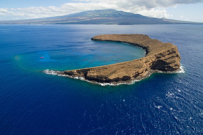 Molokini Snorkel, Green Sea Turtle Small-Group Tour From Maui - Experience Highlights