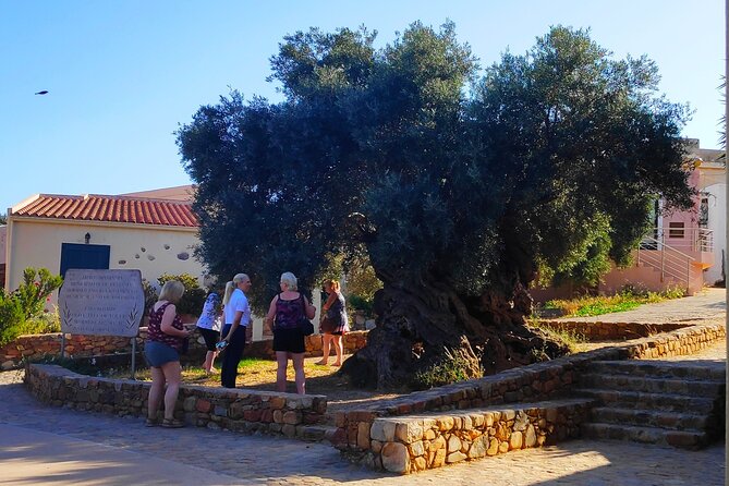 Monastery - Ancient Olive Tree & Museum-Cretan Brewery Private Tour From Chania - Pricing Details