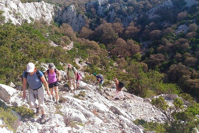 Monte Tiscali Hiking Day Trip From Orosei (Mar ) - Reviews and Ratings Analysis