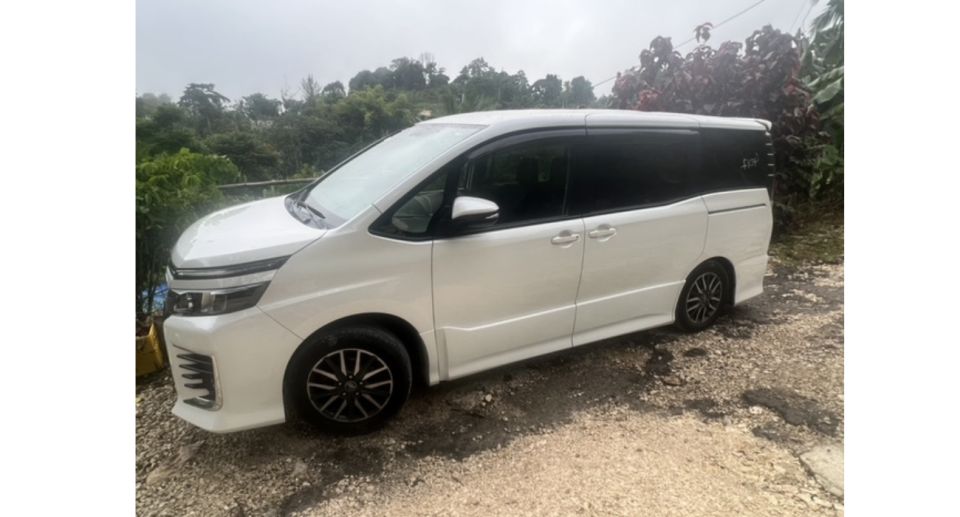 Montego Bay Airport Transportation to Any Negril Hotels - Service Inclusions