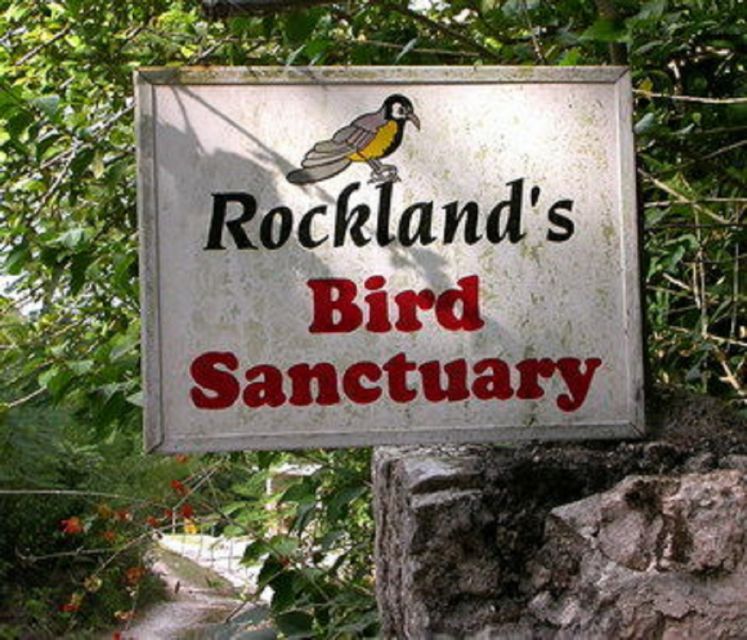 Montego Bay: Private Rocklands Bird Sanctuary Trip - Experience at Rocklands Bird Sanctuary