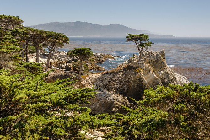 Monterey, Carmel and 17-Mile Drive: Full Day Tour From SF - Guide Expertise and Insights