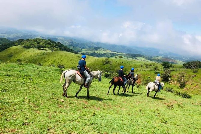 Monteverde Cloud Forest Horseback Riding - Important Booking Details