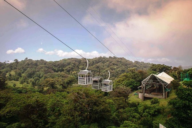 Monteverde Sky Tram & Hanging Bridges Cloud Forest Tour From San Jose - Reviews and Experiences