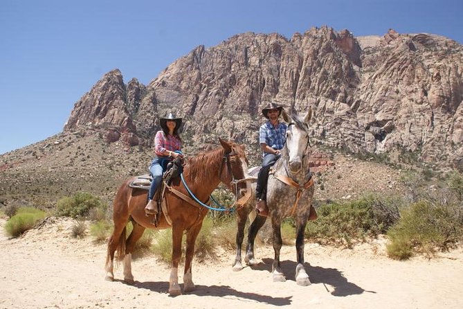 Morning Horseback Ride With Breakfast From Las Vegas - Customer Reviews and Recommendations