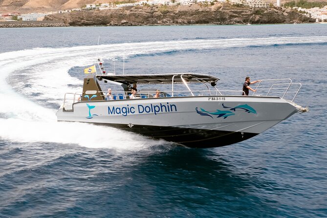 Morro Jable: 2 Hours Magic Dolphin & Whale Watching With Drinks & Swim Stop. - Important Travel Information