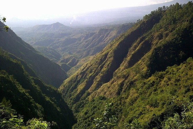 Mount Batur Sunrise Trekking and Rice Terrace Adventure - Viator Platform and Tour Details