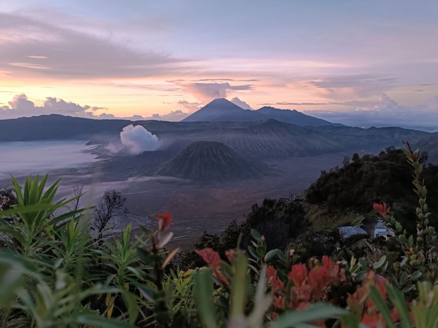 Mount Bromo: Sunrise Guided Tour With Optional Transfer - Booking Options