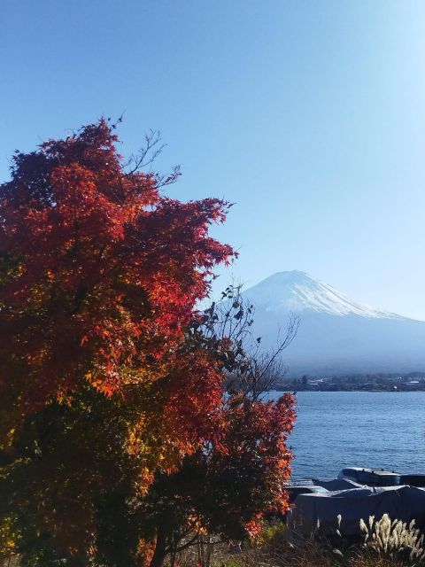 Mount Fuji-Lake Kawaguchi Private Tour With Bilingual Driver - Tour Highlights