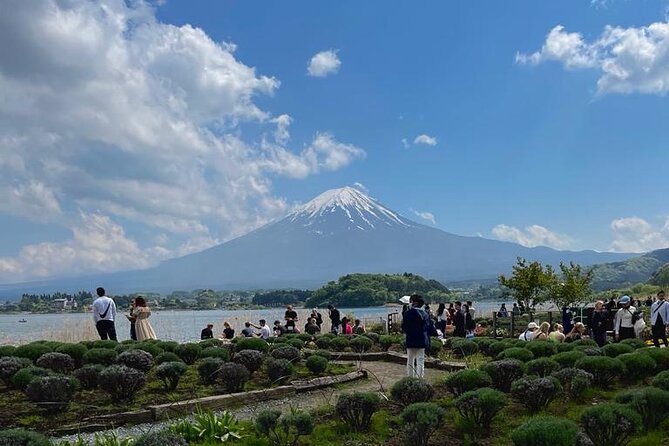 Mount Fuji Private Day Tour With English Speaking Driver - Pickup and Drop-off Logistics