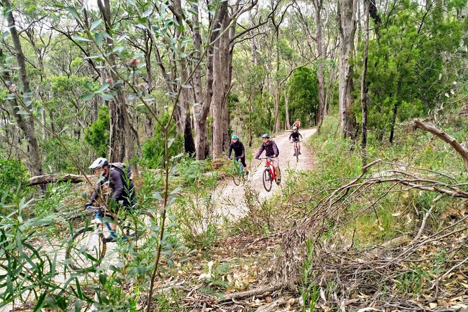 Mount Lofty Descent Bike Tour From Adelaide - Traveler Reviews