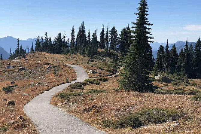 Mount Rainier National Park Day Tour From Seattle - Customer Reviews and Feedback