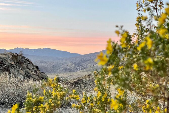 Mountain Sunrise Hike and Meditation in Palm Springs - Traveler Reviews and Insights