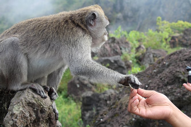 Mt. Batur Sunrise Trek With Breakfast and Transfers From Ubud (Mar ) - Common questions