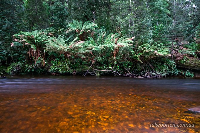 Mt Field and Styx Valley Photography Tour - Booking and Reservation Process