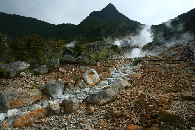 Mt. Fuji 5th Station, Owakudani Ropeway, Pirate Ship Plus Outlet Shopping! - Pirate Ship Cruise Excursion