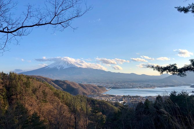 Mt Fuji Area Private Guided Tours in English-Nature up Close, Quiet, Personal - Customer Satisfaction