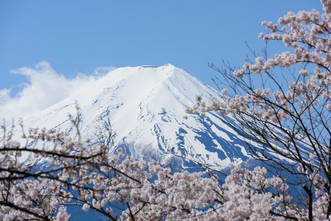 Mt. Fuji Cherry Blossom One Day Tour From Tokyo - Included in the Tour