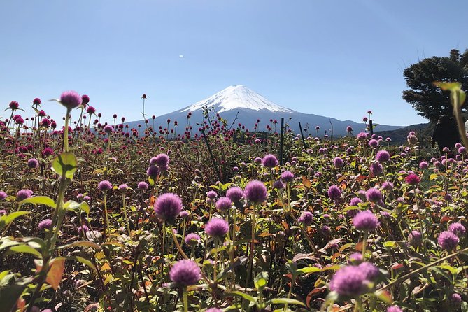 Mt Fuji Day Tour With Kawaguchiko Lake and Fifth Station - Meeting and Pickup Details