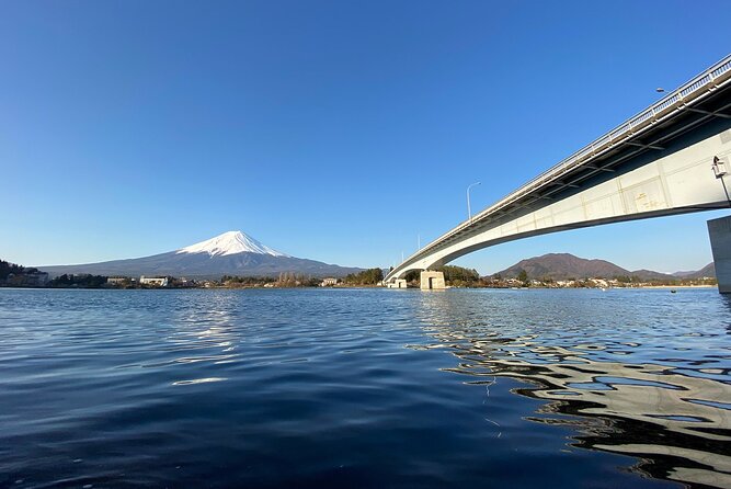 Mt Fuji Full-Day Tour By Car - Reviews and Validation