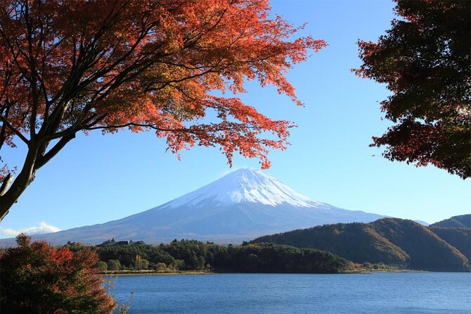 Mt. Fuji & Hakone 1 Day Bus Tour From Tokyo Station Area - Mt. Fuji Visits