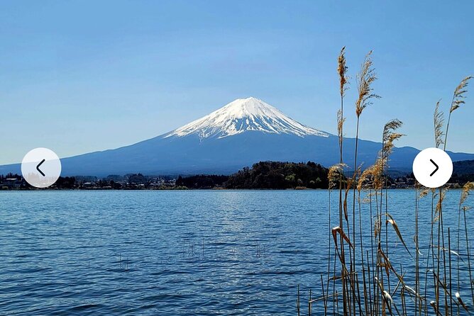 Mt. Fuji, Hakone Full-Day Private Tour With English Driver Guide - Overall Tour Experience and Recommendations