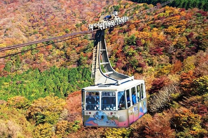 Mt Fuji, Hakone, Lake Ashi Cruise 1 Day Bus Trip From Tokyo - Cancellation Policy