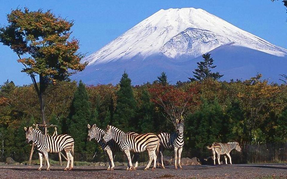Mt Fuji : Highlight Tour and Unforgettable Experience - Lake Kawaguchiko Exploration