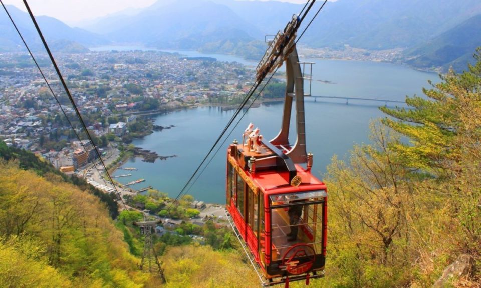 Mt. Fuji, Panoramic Ropeway & Seasonal Fruits Picking - Payment Flexibility